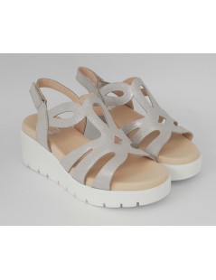 Callaghan Sandali Zeppa Media Gabbietta Rosa Argento