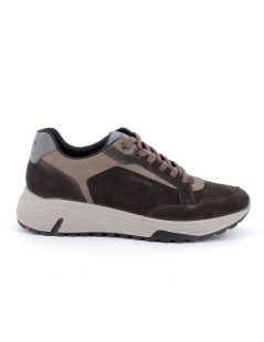 IGI &Co Sneakers Uomo Alta Vaschetta Camoscio Caffè Tortora