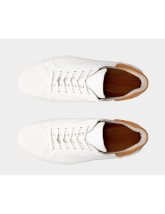 Ecco Sneakers Uomo 7M Cassetta Pelle Bianco Cuoio