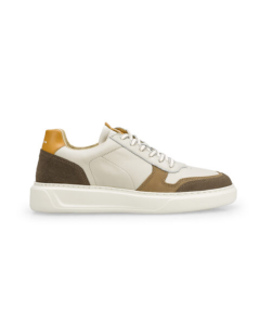 Ambitious Sneakers Tre Colori Vaschetta Talpa Giallo